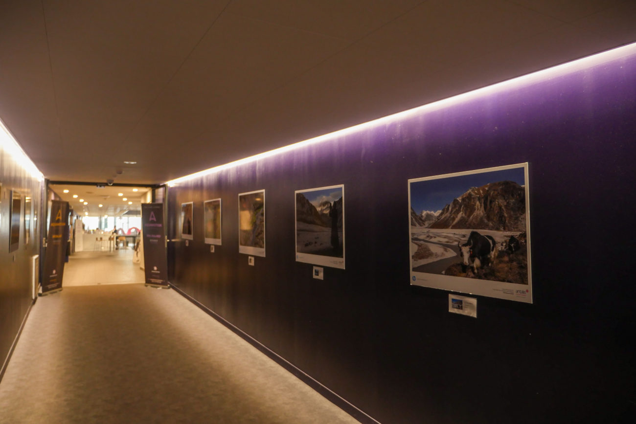 Exposition photo & scénographie